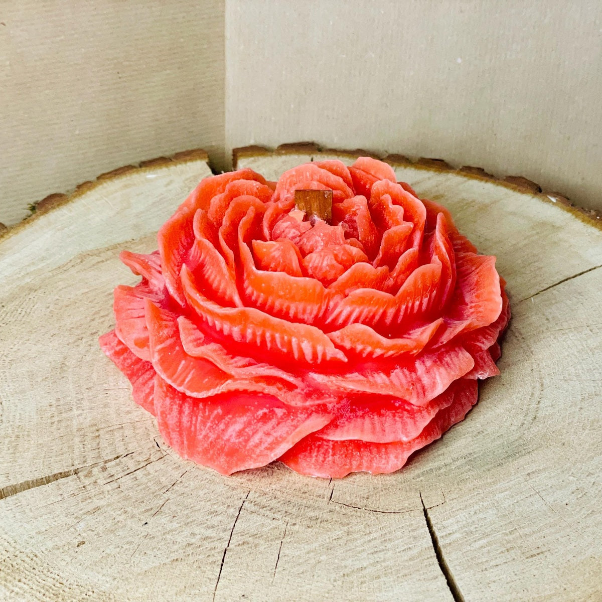 Kerze in Rosenform mit Holzdocht Betonkerze Das Glückswerk