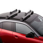 Mazda CX-30 DM 2019 Thule Ski-/Snowboardträger C800-V3-851 Thule Ski-/Snowboardträger Mazda
