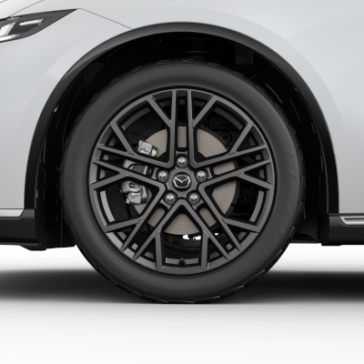 Mazda 6e GN 2025 Winterkomplettradsatz 19 Zoll, Anthrazit, Goodyear RRGN--1-9-A1-GO Winterkomplettradsatz 19 Zoll, Anthrazit, Goodyear Mazda
